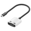 D0249 2-in-1-USB-C-Adapter für AR-Brillen und Spielkonsolen - Schwarz / Weiß