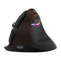 Delux M618 Mini Jet Gold - ergonomische vertikale Maus - Bluetooth 4.0, 2.4GHz, 2400 DPI - Schwarz