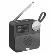 P2D tragbares DAB+-Radio mit Bluetooth 5.0 - 1.47" - Schwarz