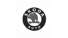Skoda Dash Mount